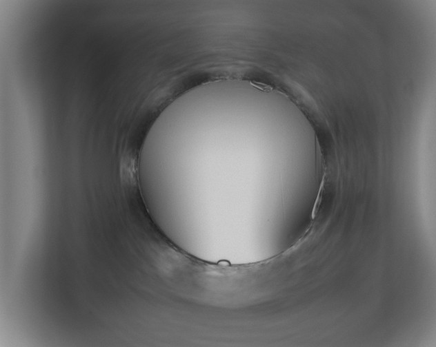 X0000113030045200909031300