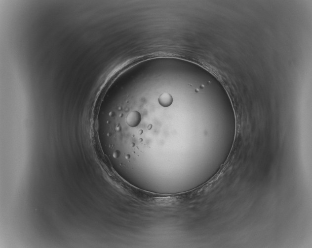 X0000113030050200909031300