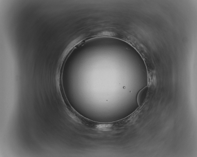 X0000113030051200909031300