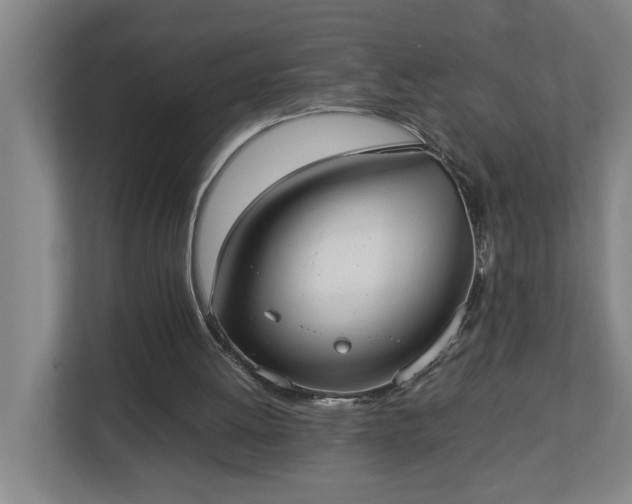 X0000113030052200909031300