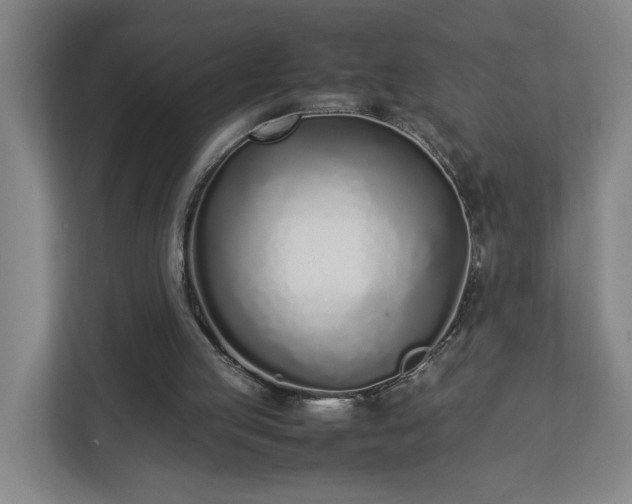 X0000113030053200909031300