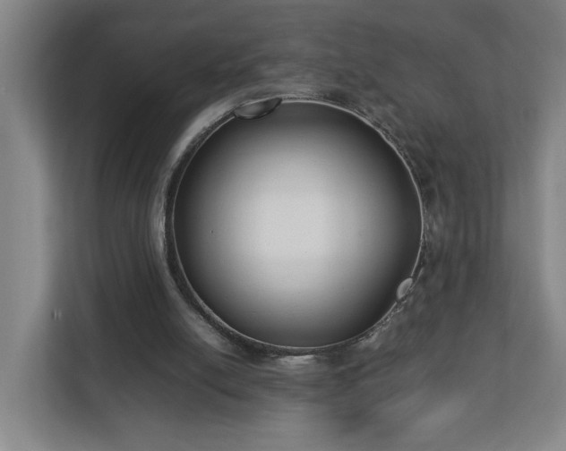 X0000113030054200909031300