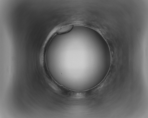 X0000113030056200909031300