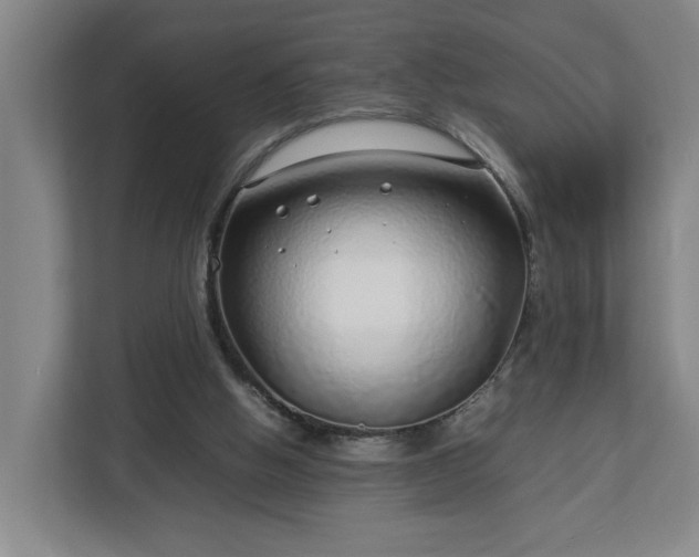 X0000113030058200909031300