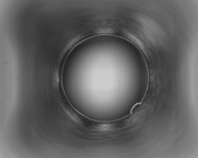 X0000113030059200909031300