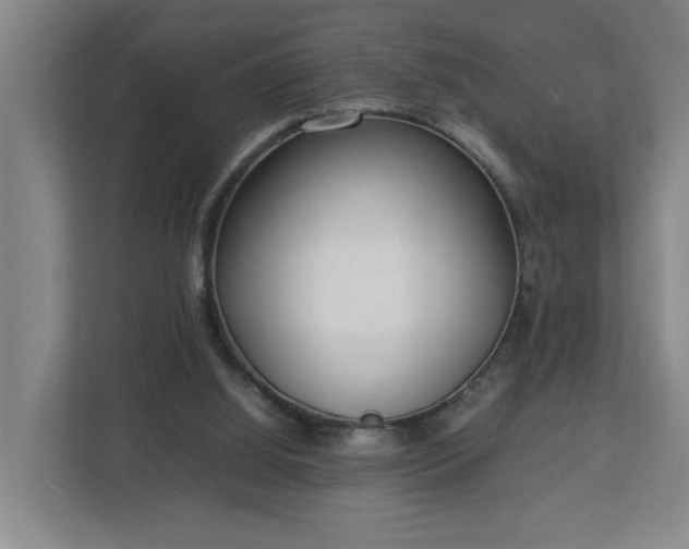 X0000113030060200909031300