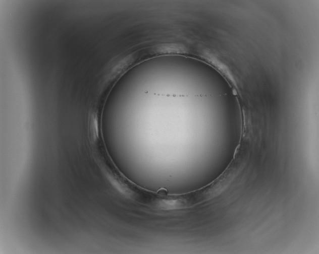 X0000113030061200909031300