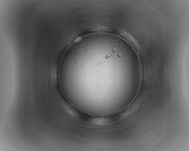 X0000113030065200909031300