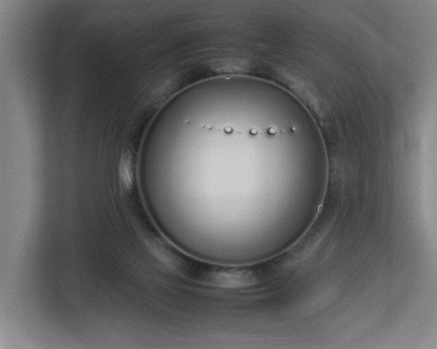 X0000113030069200909031300