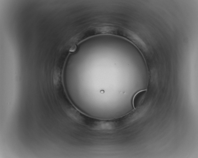 X0000113030073200909031300