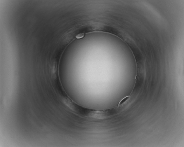 X0000113030082200909031300