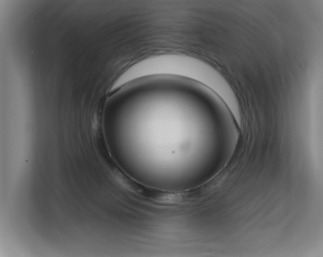 X0000113030084200909031300