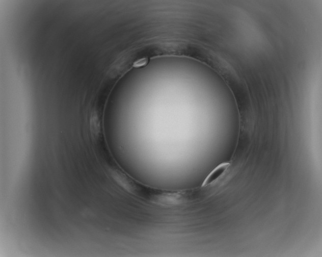 X0000113030086200909031300