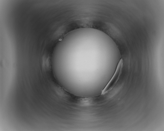 X0000113030088200909031300