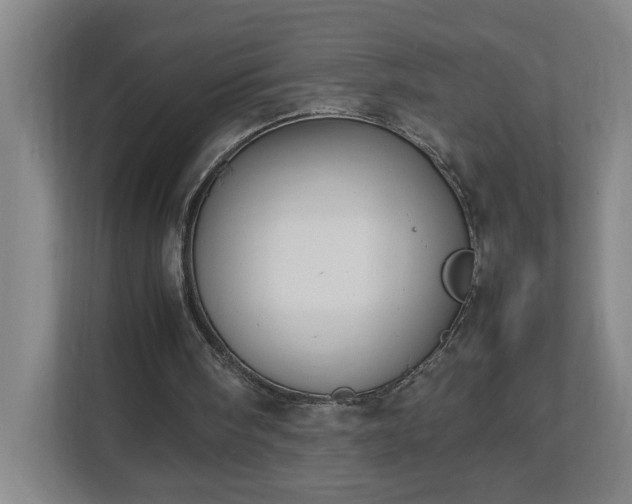 X0000113030098200909031300