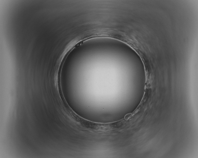 X0000113030099200909031259