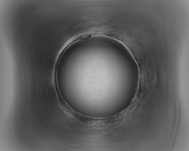 X0000113030100200909031259