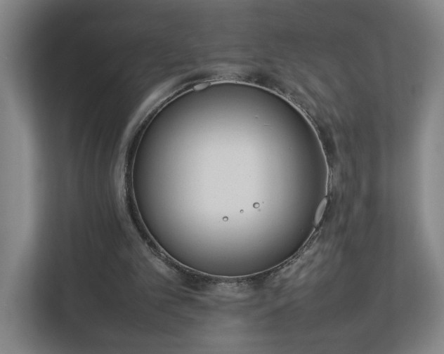 X0000113030101200909031259