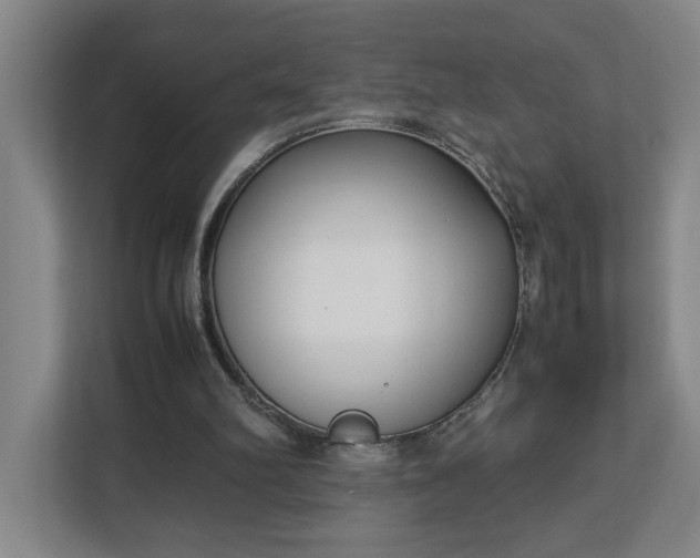 X0000113030102200909031259