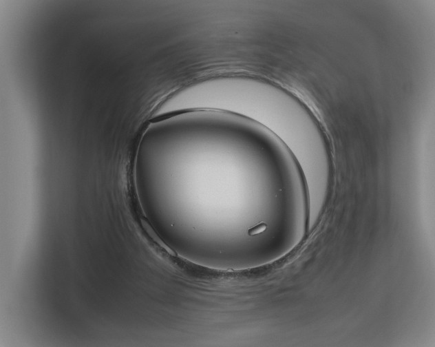 X0000113030105200909031259