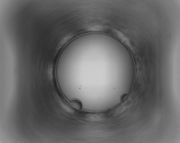 X0000113030106200909031259