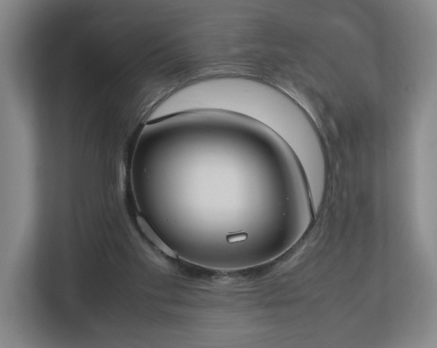 X0000113030109200909031259