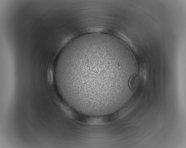 X0000113030110200909031259