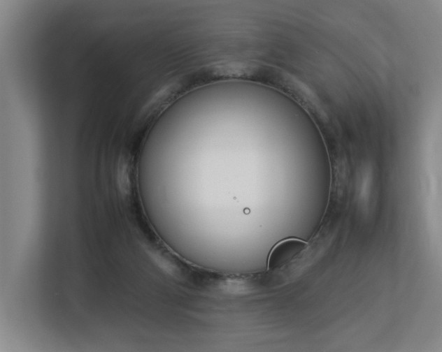 X0000113030114200909031259