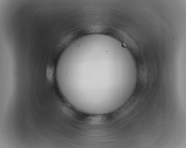 X0000113030118200909031259