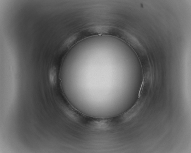 X0000113030120200909031259