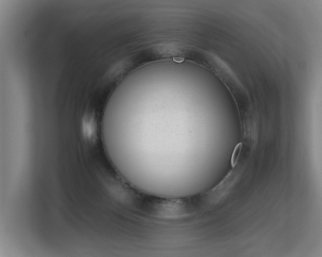 X0000113030124200909031259