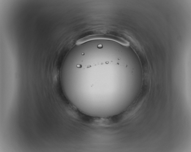 X0000113030125200909031259