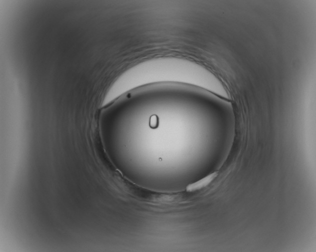 X0000113030129200909031259