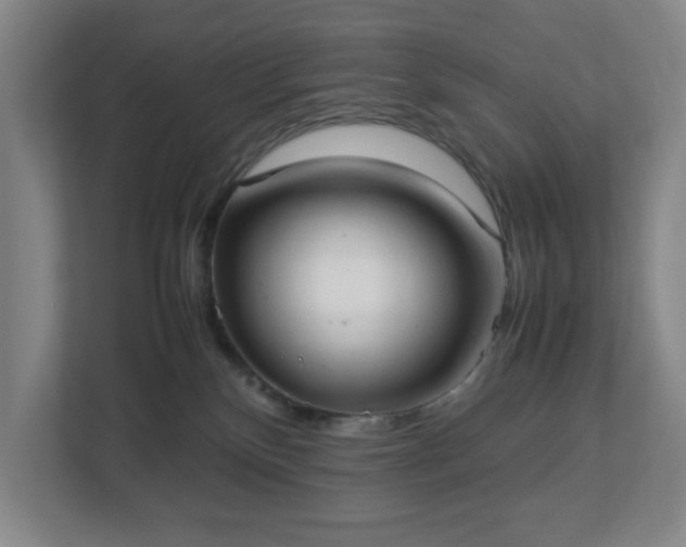 X0000113030136200909031259