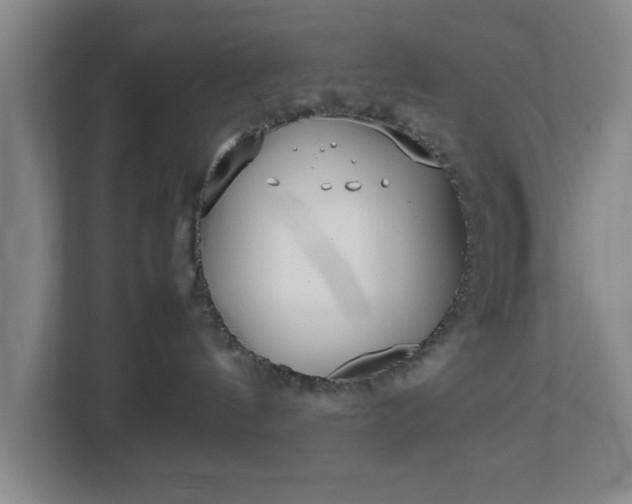 X0000113030144200909031259