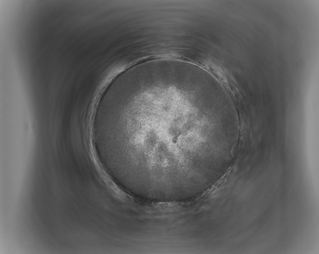 X0000113030145200909031258