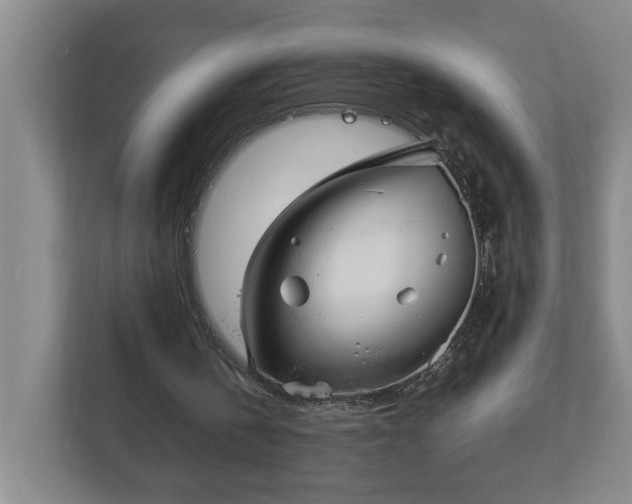 X0000113030146200909031258