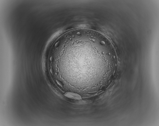 X0000113030149200909031258