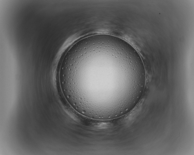 X0000113030151200909031258