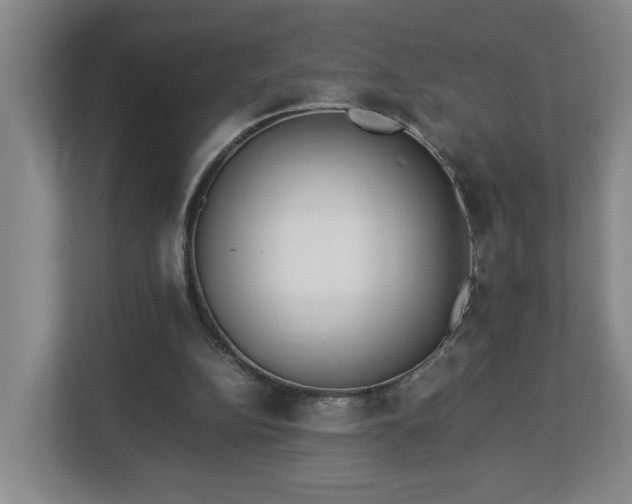 X0000113030152200909031258