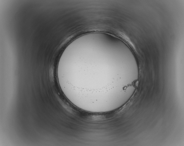 X0000113030154200909031258