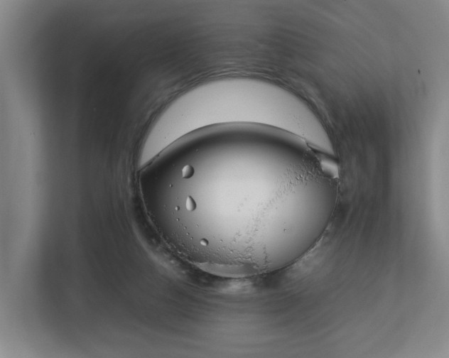 X0000113030162200909031259