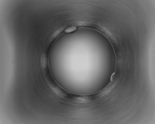 X0000113030164200909031259