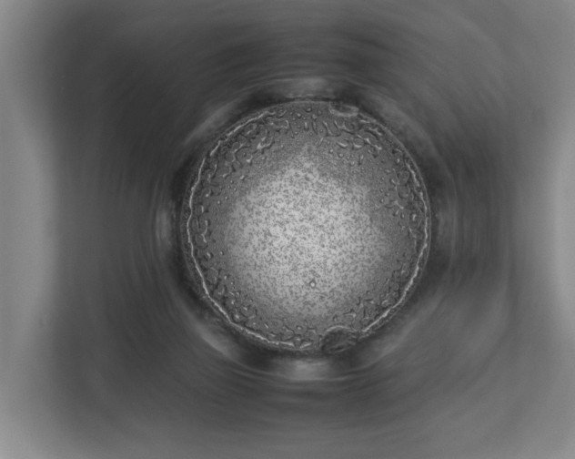 X0000113030165200909031259