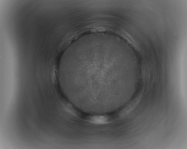 X0000113030169200909031259