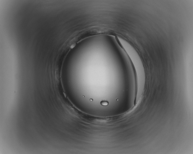 X0000113030170200909031259