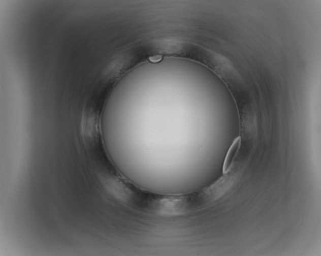 X0000113030172200909031259