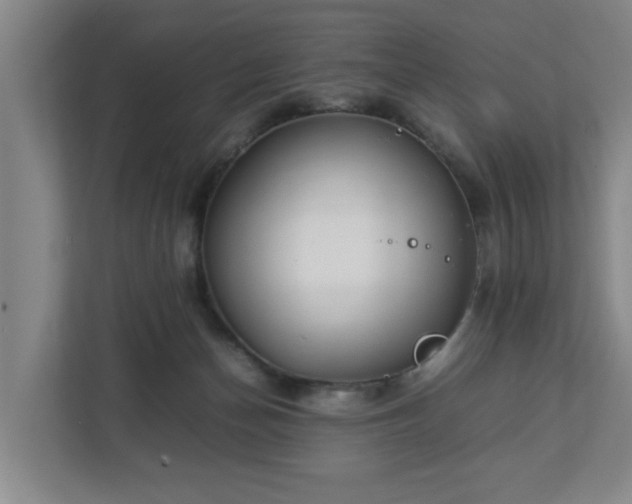 X0000113030174200909031259