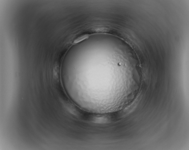 X0000113030175200909031259