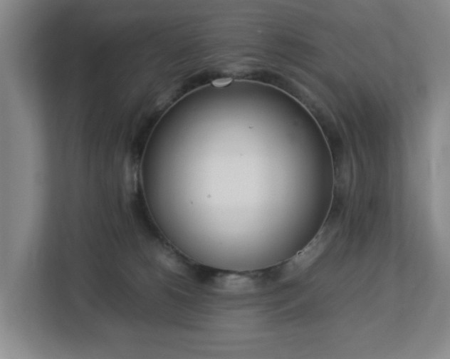 X0000113030180200909031259